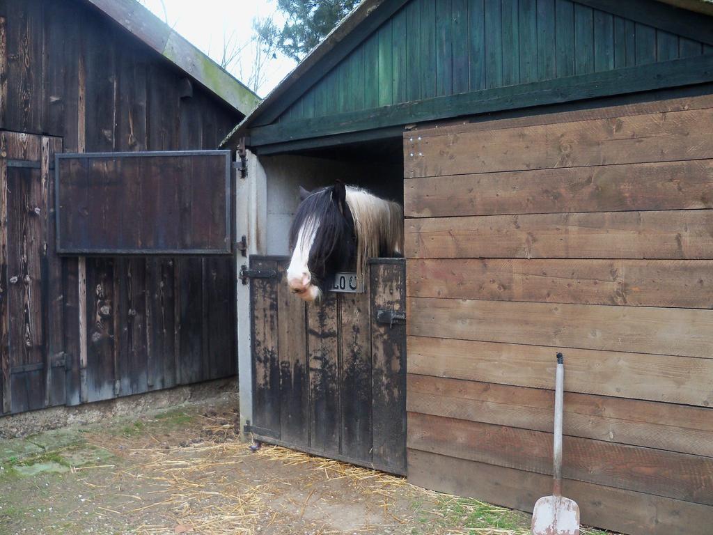 Hoeve Heidonk Horn Екстер'єр фото