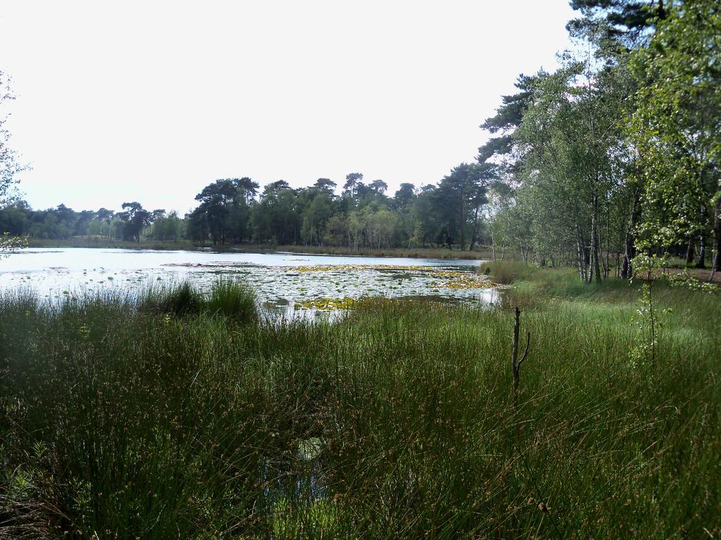 Hoeve Heidonk Horn Екстер'єр фото